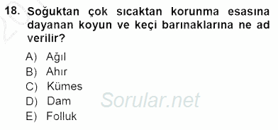 Temel Zootekni 2012 - 2013 Dönem Sonu Sınavı 18.Soru