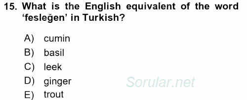 Turizm Için Ingilizce 2 2015 - 2016 Tek Ders Sınavı 15.Soru