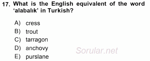 Turizm Için Ingilizce 2 2015 - 2016 Tek Ders Sınavı 17.Soru