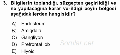 Etkili İletişim Teknikleri 2015 - 2016 Ara Sınavı 3.Soru