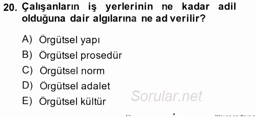 Örgütsel Davranış 2013 - 2014 Tek Ders Sınavı 20.Soru