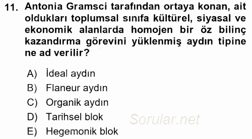 Siyaset Sosyolojisi 2015 - 2016 Ara Sınavı 11.Soru