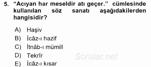 Eski Türk Edebiyatına Giriş: Söz Sanatları 2017 - 2018 Ara Sınavı 5.Soru