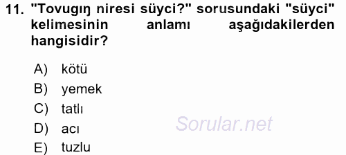 Çağdaş Türk Yazı Dilleri 1 2017 - 2018 3 Ders Sınavı 11.Soru