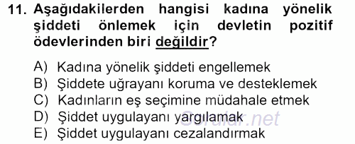 Toplumsal Cinsiyet Çalışmaları 2012 - 2013 Dönem Sonu Sınavı 11.Soru