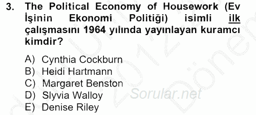 Toplumsal Cinsiyet Çalışmaları 2012 - 2013 Dönem Sonu Sınavı 3.Soru