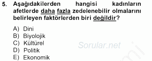 Toplumsal Cinsiyet Çalışmaları 2012 - 2013 Dönem Sonu Sınavı 5.Soru