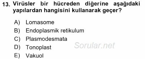 Fitopatoloji 2015 - 2016 Tek Ders Sınavı 13.Soru