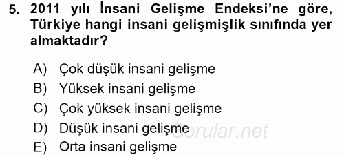 Türkiye Ekonomisi 2017 - 2018 Ara Sınavı 5.Soru