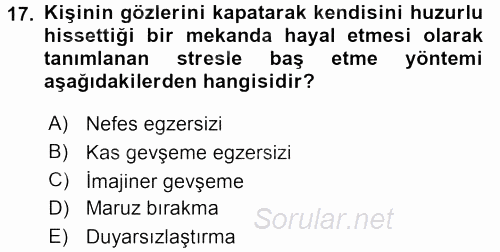 Çatışma ve Stres Yönetimi 2 2015 - 2016 Dönem Sonu Sınavı 17.Soru