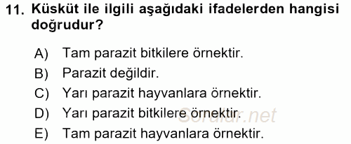 Çocuk, Bilim Ve Teknoloji 2016 - 2017 3 Ders Sınavı 11.Soru