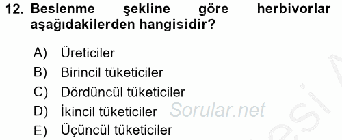 Çocuk, Bilim Ve Teknoloji 2016 - 2017 3 Ders Sınavı 12.Soru