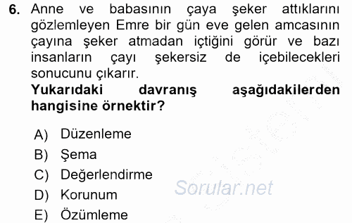 Çocuk, Bilim Ve Teknoloji 2016 - 2017 3 Ders Sınavı 6.Soru