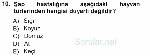 Viroloji 2012 - 2013 Dönem Sonu Sınavı 10.Soru