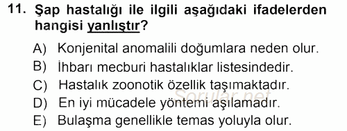 Viroloji 2012 - 2013 Dönem Sonu Sınavı 11.Soru