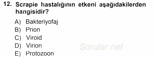 Viroloji 2012 - 2013 Dönem Sonu Sınavı 12.Soru