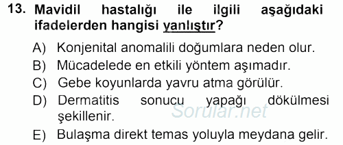 Viroloji 2012 - 2013 Dönem Sonu Sınavı 13.Soru