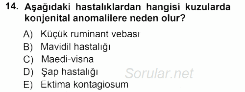 Viroloji 2012 - 2013 Dönem Sonu Sınavı 14.Soru