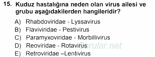 Viroloji 2012 - 2013 Dönem Sonu Sınavı 15.Soru