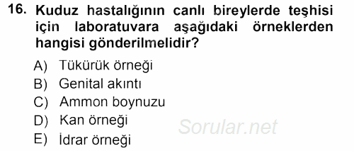 Viroloji 2012 - 2013 Dönem Sonu Sınavı 16.Soru