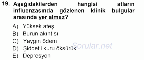 Viroloji 2012 - 2013 Dönem Sonu Sınavı 19.Soru
