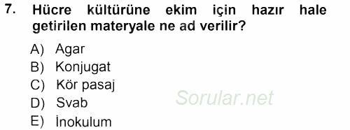 Viroloji 2012 - 2013 Dönem Sonu Sınavı 7.Soru