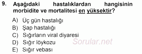 Viroloji 2012 - 2013 Dönem Sonu Sınavı 9.Soru
