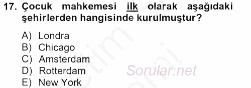 Sosyal Hizmet Kuruluşları 2012 - 2013 Dönem Sonu Sınavı 17.Soru