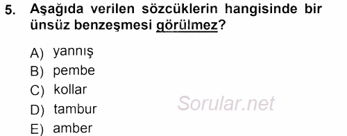 Türkçe Ses Bilgisi 2012 - 2013 Dönem Sonu Sınavı 5.Soru