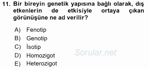 Tarla Bitkileri 1 2017 - 2018 3 Ders Sınavı 11.Soru