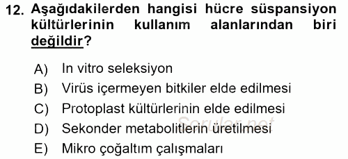 Tarla Bitkileri 1 2017 - 2018 3 Ders Sınavı 12.Soru