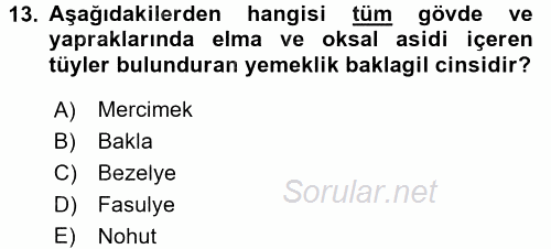 Tarla Bitkileri 1 2017 - 2018 3 Ders Sınavı 13.Soru