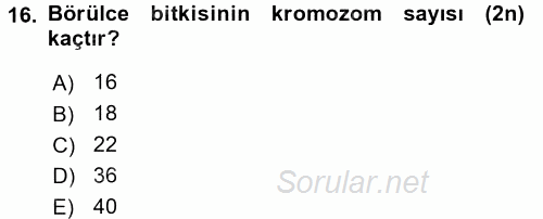 Tarla Bitkileri 1 2017 - 2018 3 Ders Sınavı 16.Soru