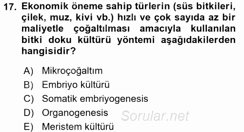 Tarla Bitkileri 1 2017 - 2018 3 Ders Sınavı 17.Soru