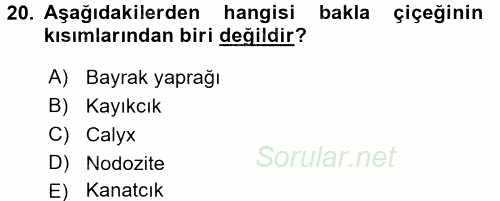 Tarla Bitkileri 1 2017 - 2018 3 Ders Sınavı 20.Soru