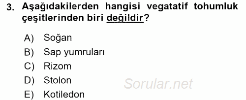 Tarla Bitkileri 1 2017 - 2018 3 Ders Sınavı 3.Soru