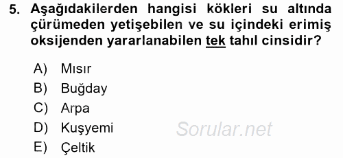 Tarla Bitkileri 1 2017 - 2018 3 Ders Sınavı 5.Soru