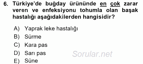 Tarla Bitkileri 1 2017 - 2018 3 Ders Sınavı 6.Soru