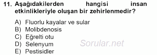 Temel Veteriner Farmakoloji ve Toksikoloji 2012 - 2013 Dönem Sonu Sınavı 11.Soru