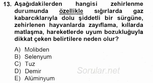 Temel Veteriner Farmakoloji ve Toksikoloji 2012 - 2013 Dönem Sonu Sınavı 13.Soru