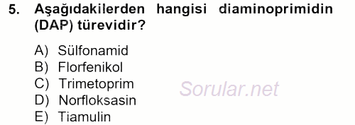 Temel Veteriner Farmakoloji ve Toksikoloji 2012 - 2013 Dönem Sonu Sınavı 5.Soru