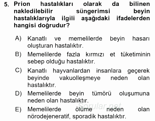 Gıda Güvenliğinin Temel Prensipleri 2017 - 2018 Dönem Sonu Sınavı 5.Soru