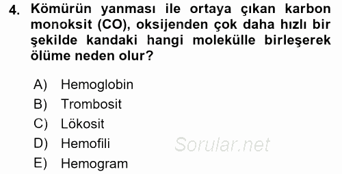 Ekoloji ve Turizm 2015 - 2016 Dönem Sonu Sınavı 4.Soru