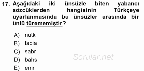 Türkçe Ses Bilgisi 2017 - 2018 Dönem Sonu Sınavı 17.Soru