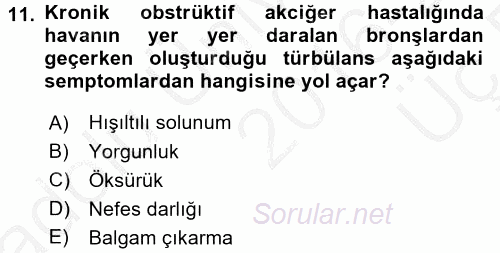 Yaşlılarda Görülebilecek Sorunlar Ve Bakım Hizmetleri 2016 - 2017 3 Ders Sınavı 11.Soru