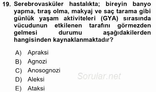 Yaşlılarda Görülebilecek Sorunlar Ve Bakım Hizmetleri 2016 - 2017 3 Ders Sınavı 19.Soru