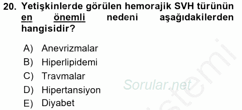 Yaşlılarda Görülebilecek Sorunlar Ve Bakım Hizmetleri 2016 - 2017 3 Ders Sınavı 20.Soru