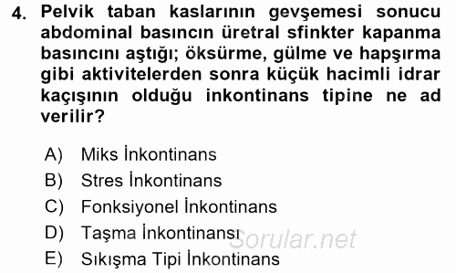 Yaşlılarda Görülebilecek Sorunlar Ve Bakım Hizmetleri 2016 - 2017 3 Ders Sınavı 4.Soru