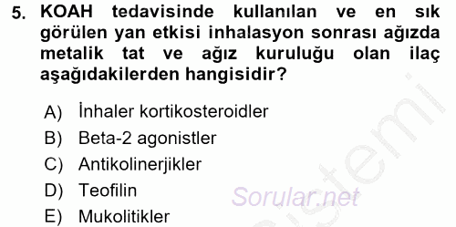 Yaşlılarda Görülebilecek Sorunlar Ve Bakım Hizmetleri 2016 - 2017 3 Ders Sınavı 5.Soru