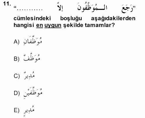 Arapça 4 2014 - 2015 Ara Sınavı 11.Soru